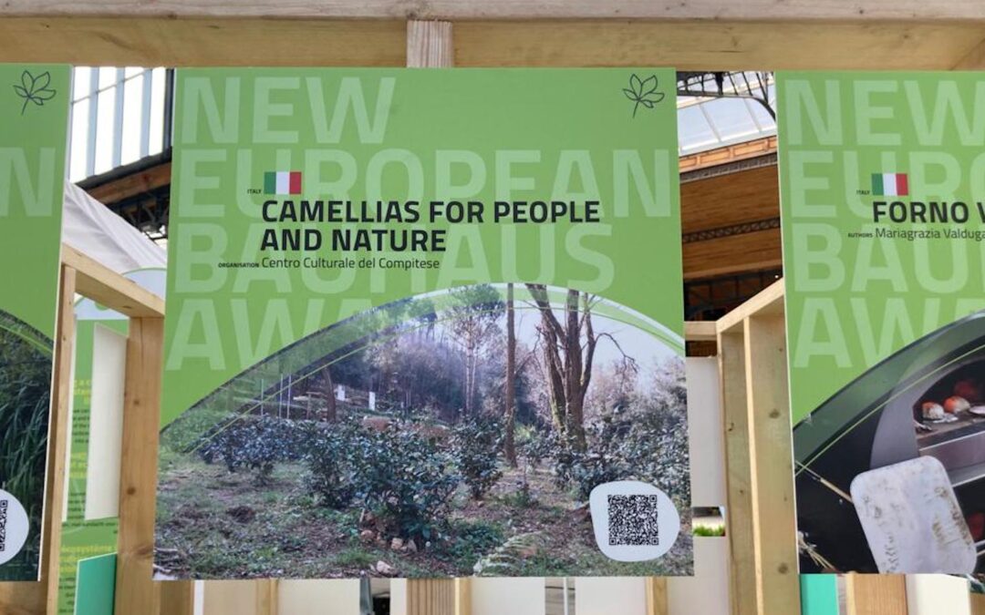 Camellietum Compitese finalista del premio Bauhaus