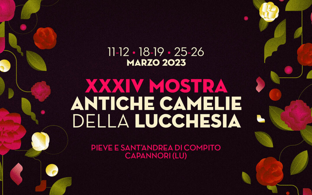 Mostra Antiche camelie della Lucchesia 2023, il programma