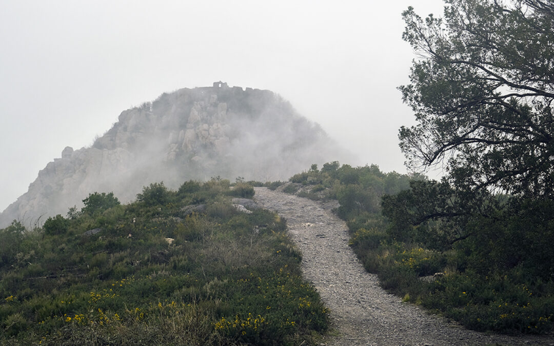 Festival del bosco, mostra fotografica “Monte Eremitico”