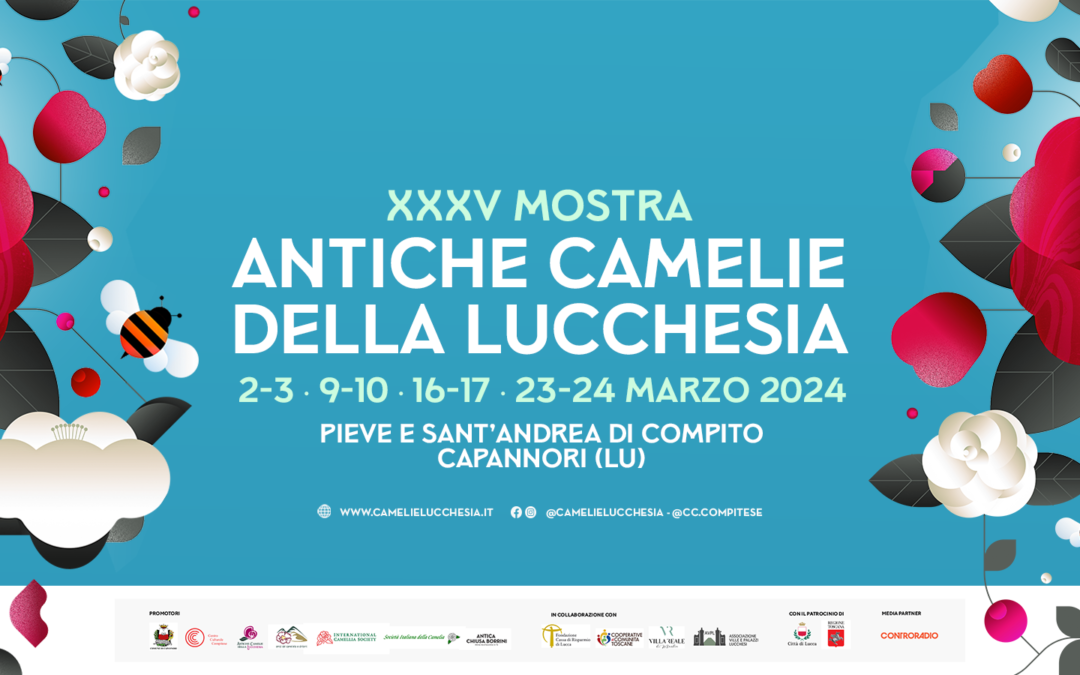 Mostra Antiche camelie della Lucchesia 2024, il programma